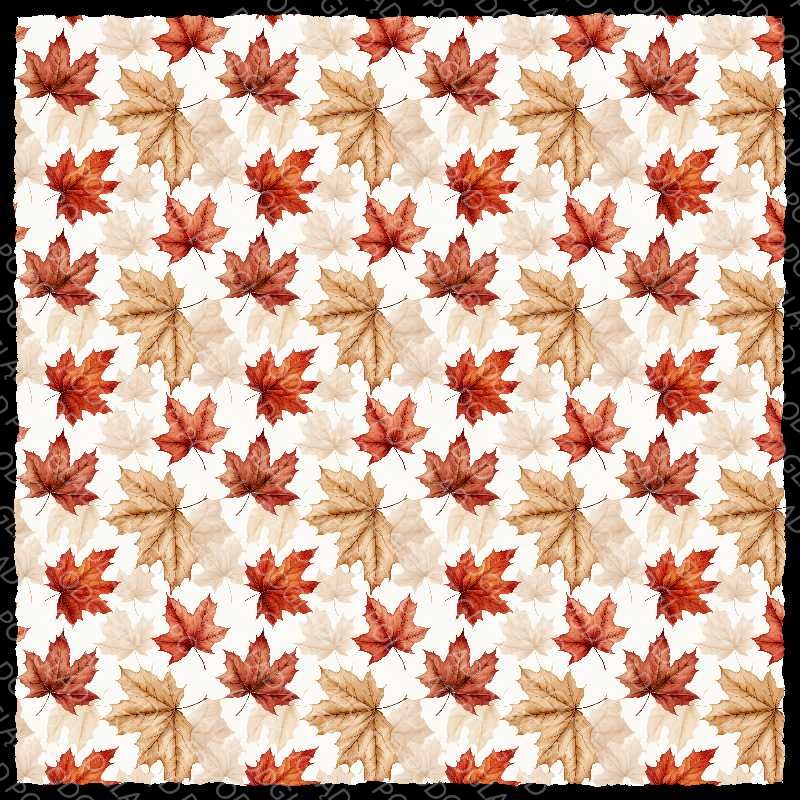 Field Maple